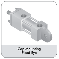 cap-mounting-fixed-eye