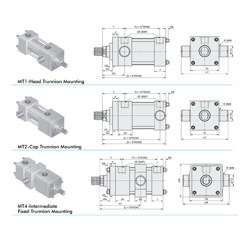 standard-trunnion-mountings